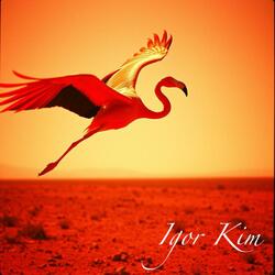 Фламінго лети