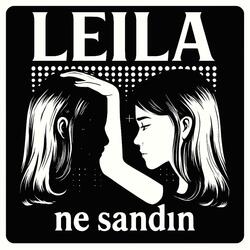 Ne sandın?