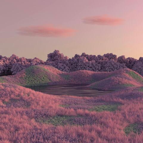 Visualizing
