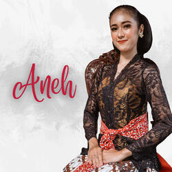 ⁠ANEH TIGA