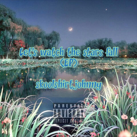 Let's Watch The Stars Fall