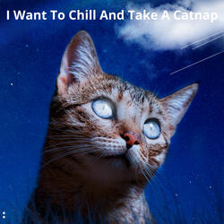I Want To Chill And Take A Catnap