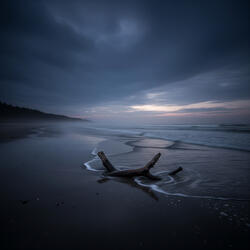 Alone With You