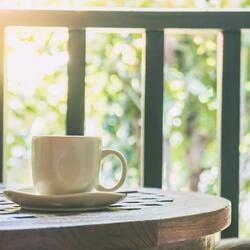 A night of falling petals