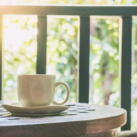 A heartwarming forest café with gentle soothing piano music