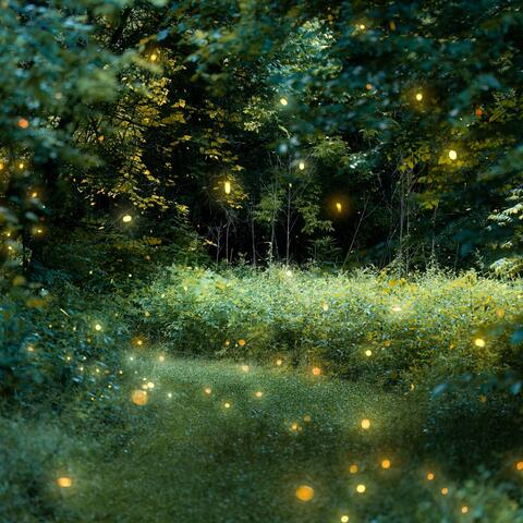 A gentle forest plays a relaxing nighttime melody soothing the soul with emotional piano music