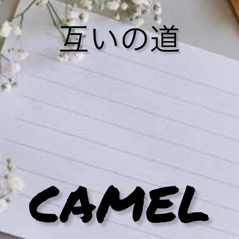 互いの道