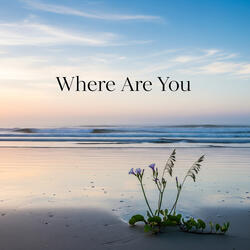 Where Are You