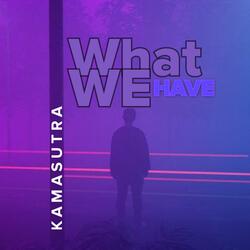 WHAT WE HAVE