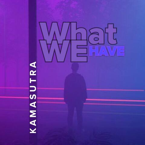WHAT WE HAVE