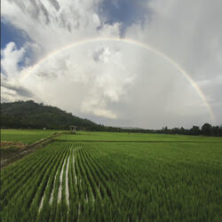 Sonong Kosuabon