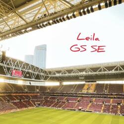 GS SE