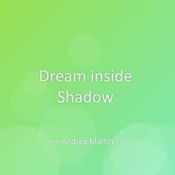 Dream inside Shadow