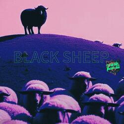 Black Sheep