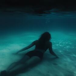 Just Needs Some Affection