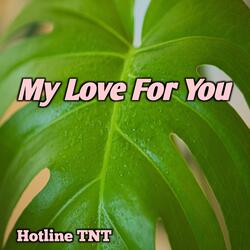 My Love For You