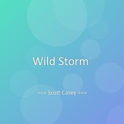 Wild Storm