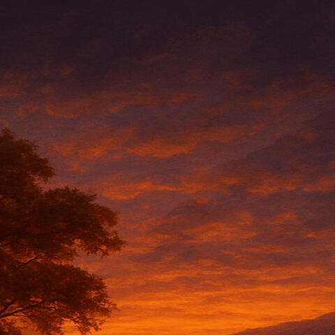 Late Night Apologies