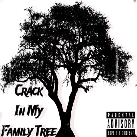 Crack In My Family Tree