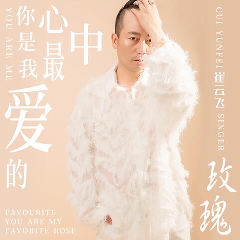 你是我心中最愛的玫瑰