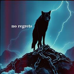 no regrets