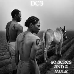 40 Acres And A Mule
