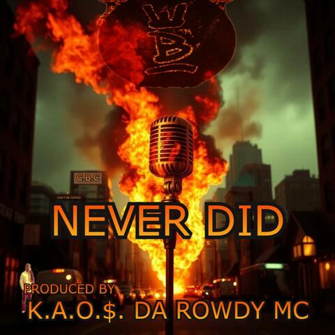 NEVER DID