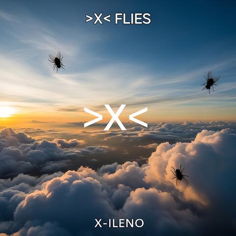 >X< Flies
