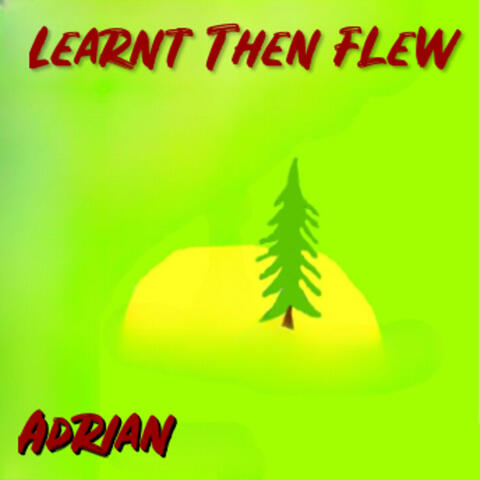 Learnt Then Flew