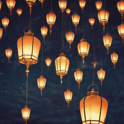 All the Light We Shared