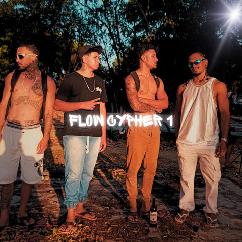 Flow Cypher 1