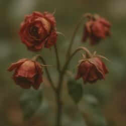 Love Stuck (Don’t Go)