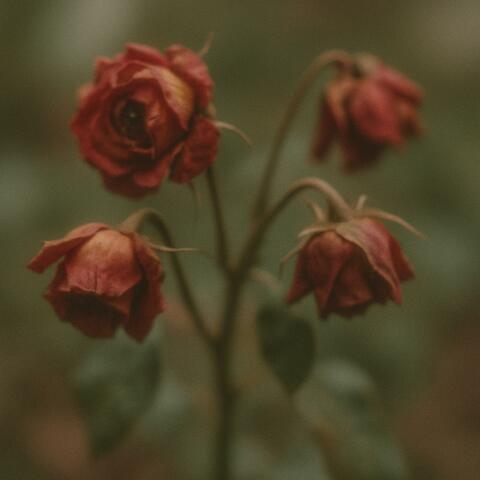 Love Stuck (Don’t Go)