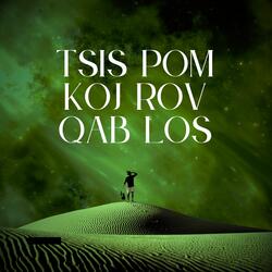 Tsis Pom Koj Rov Qab Los