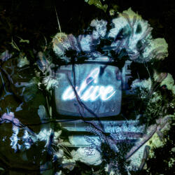 Alive