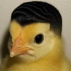 1234