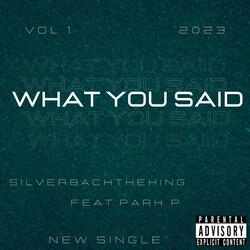 What You Said