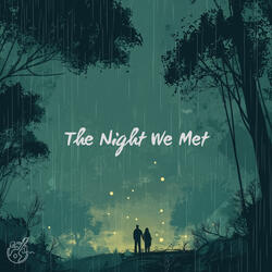 The Night We Met