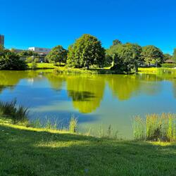 you won't see the signs