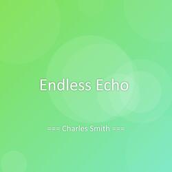 Endless Echo
