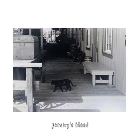 jeremy’s blood