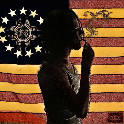 STAR SPANGLED LYFESTYLE