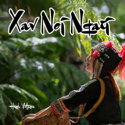 Xav Noj Nqaij