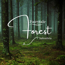 Fairytale Forest