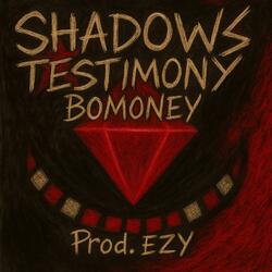 SHADOWS TESTIMONY