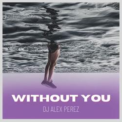 Without You