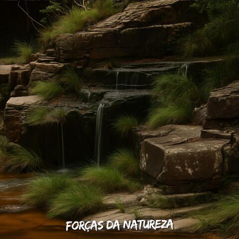 Forças da Natureza