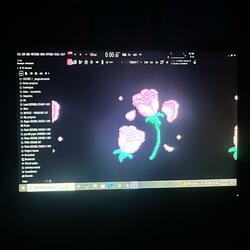 Dandelion