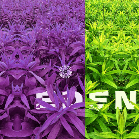 eden