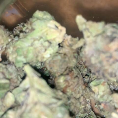 Smokin' On Purple